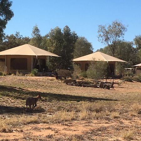 Squeakywindmill Boutique Tent B&B Alice Springs Esterno foto