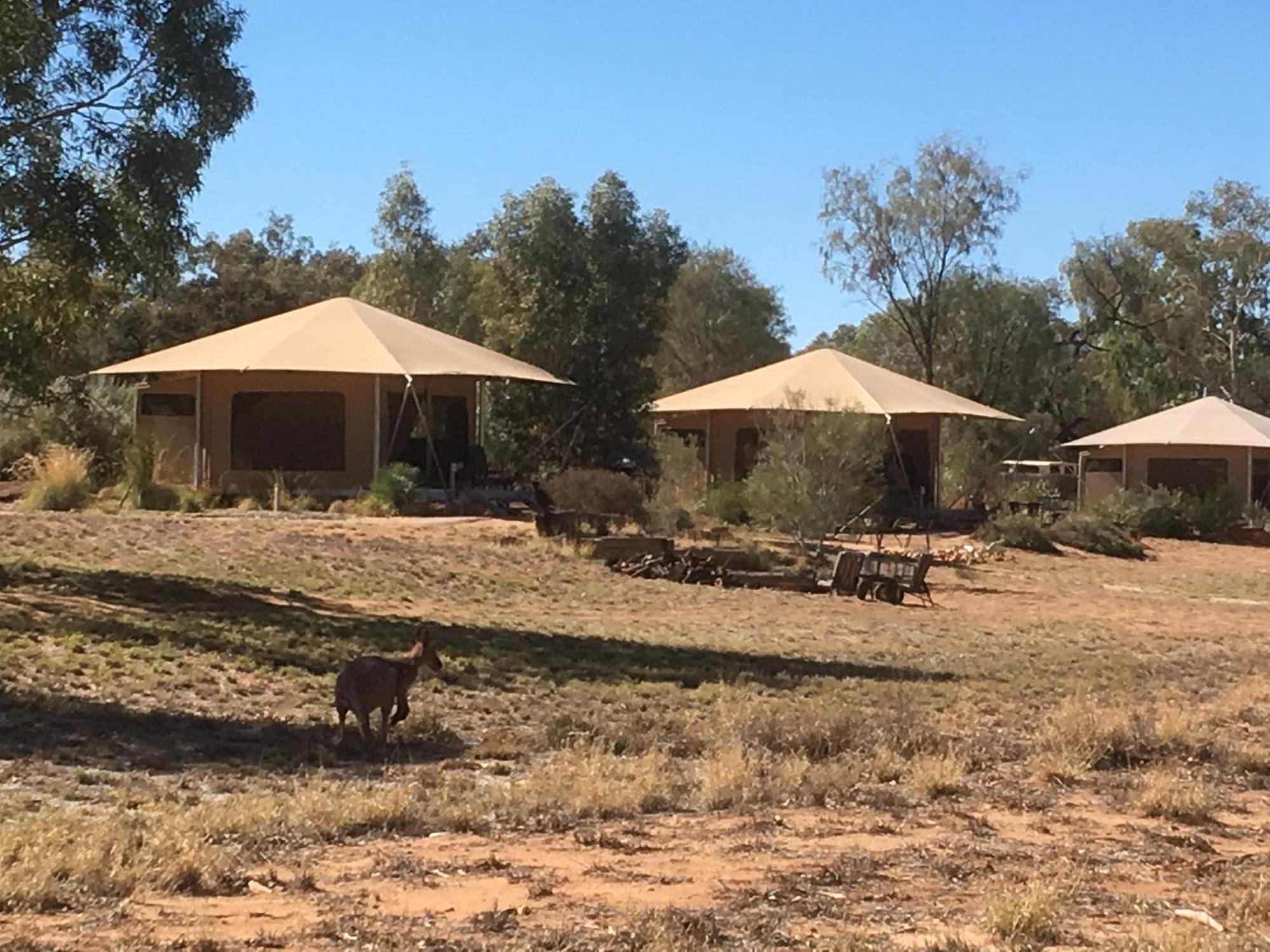 Squeakywindmill Boutique Tent B&B Alice Springs Esterno foto